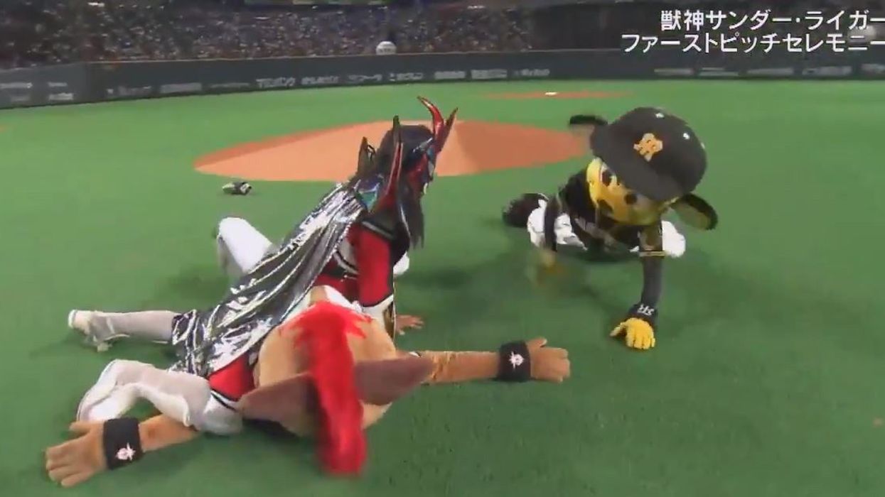 A wrestler threw the first pitch at a baseball game and then everything descended into chaos