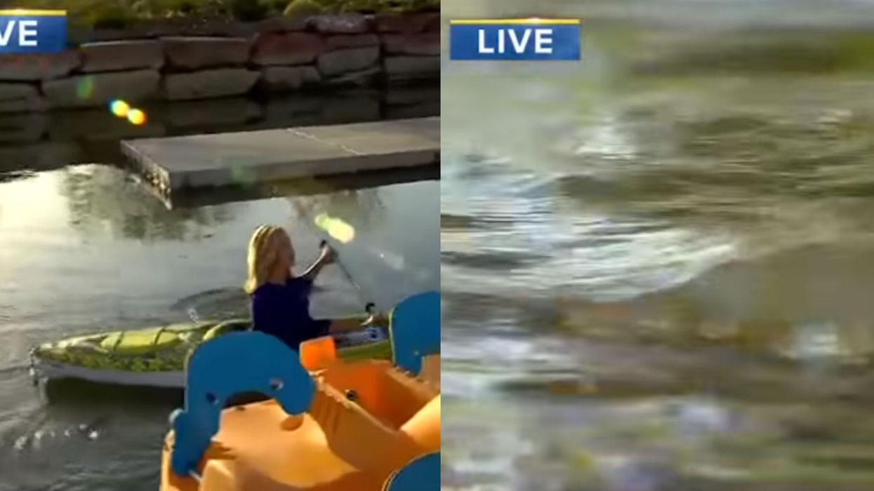 The moment a cameraman falls in a lake and still manages to capture the perfect shot