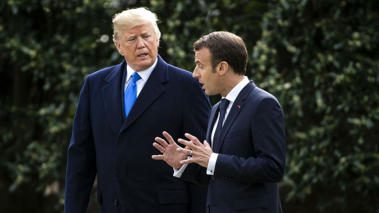 The mystery of the missing Trump and Macron tree has been solved