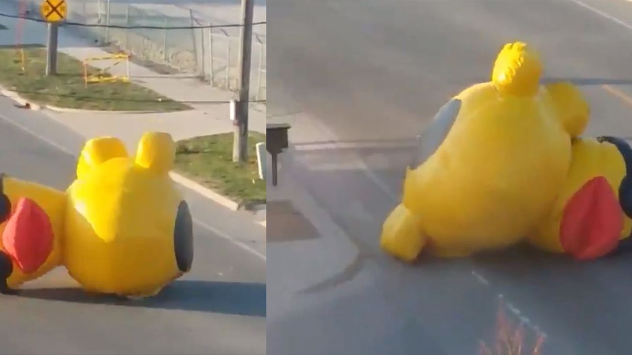 Giant inflatable duck wearing sunglasses goes on a rampage down an American road