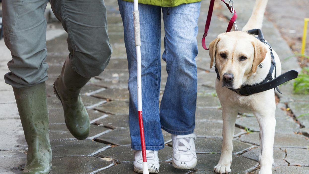 Blind man 'reduced to tears' as commuters refuse to give up disabled seats for him and his guide dog