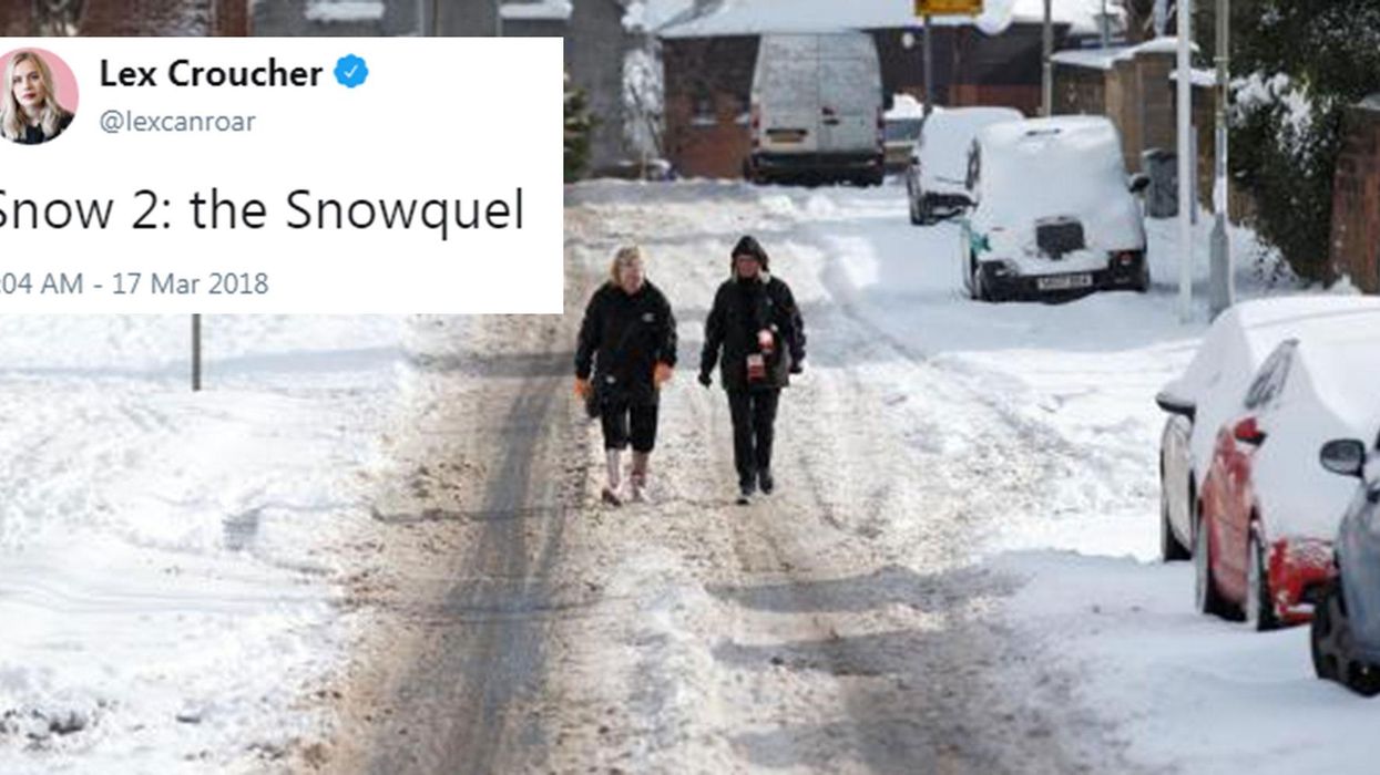 The 11 most ridiculous reactions to the mini Beast from the East