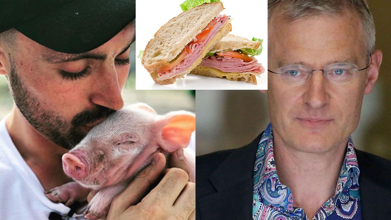 This is what happened when an angry vegan spotted Jeremy Vine’s ham sandwich