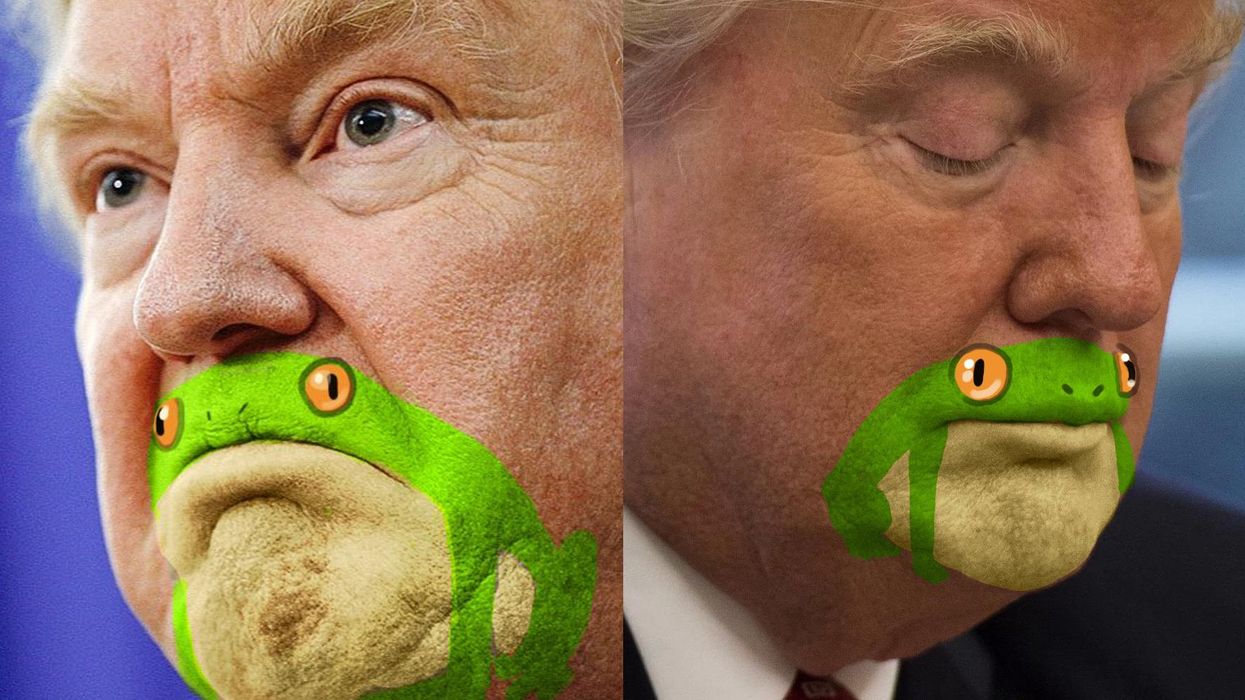 Someone noticed Trump's chin looks like a frog and you can't unsee it