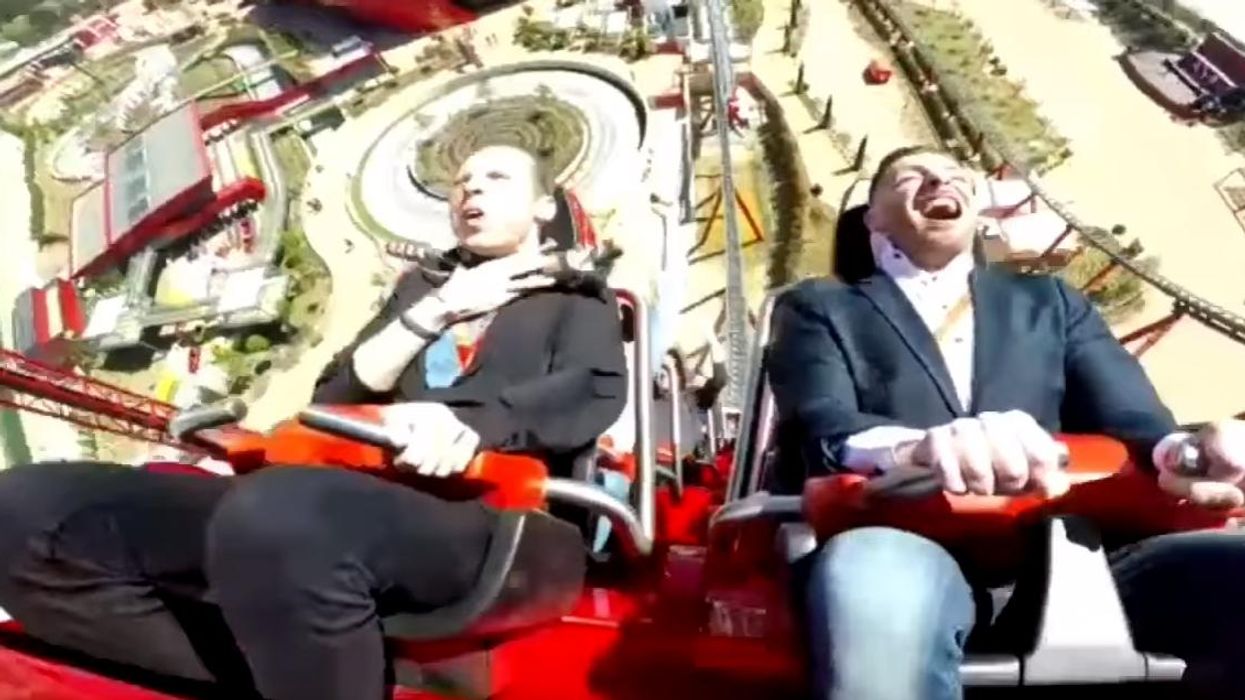 This is what happens when you hit a pigeon on a roller coaster