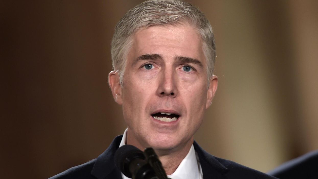 Supreme Court nominee Neil Gorsuch was just asked the 'horse duck' question - it didn't go well