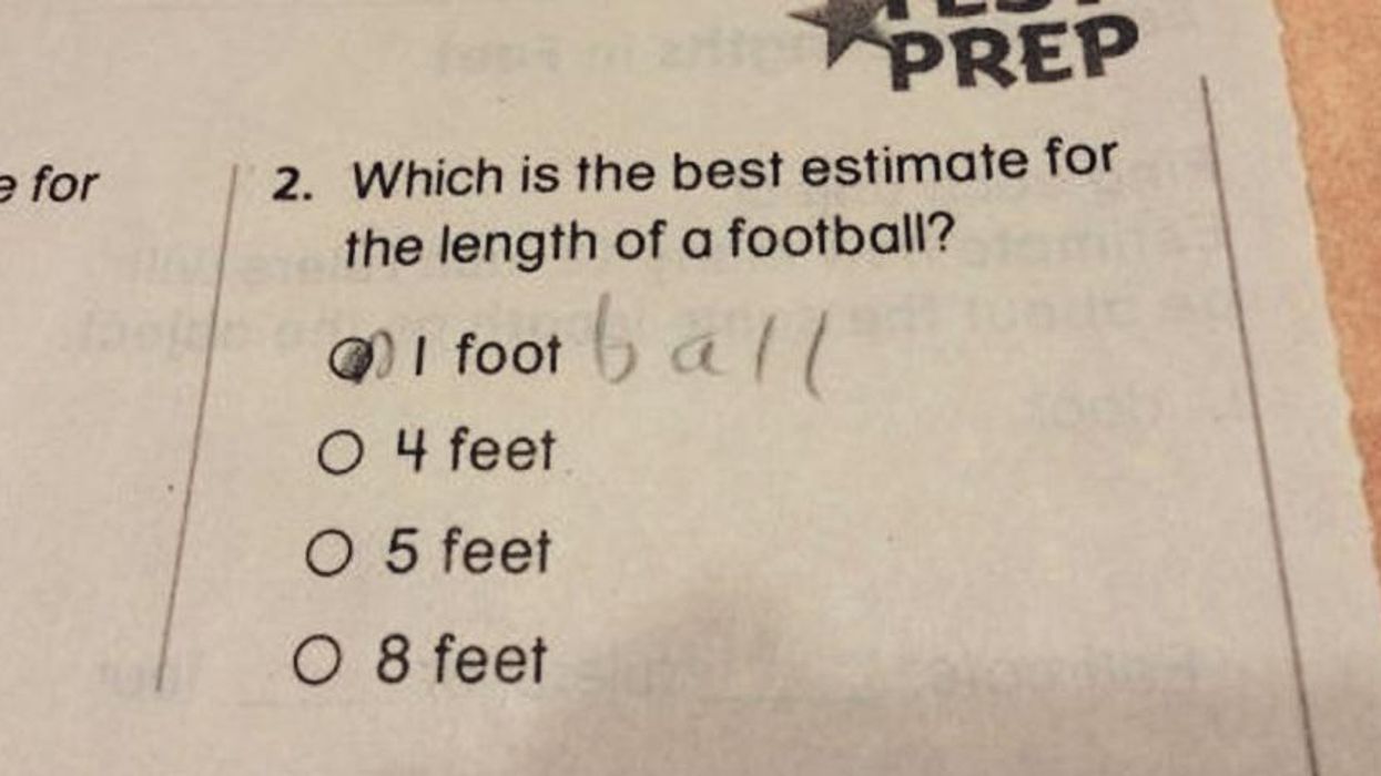 These teachers have shared their pupils best 'wrong' answers and they are so right
