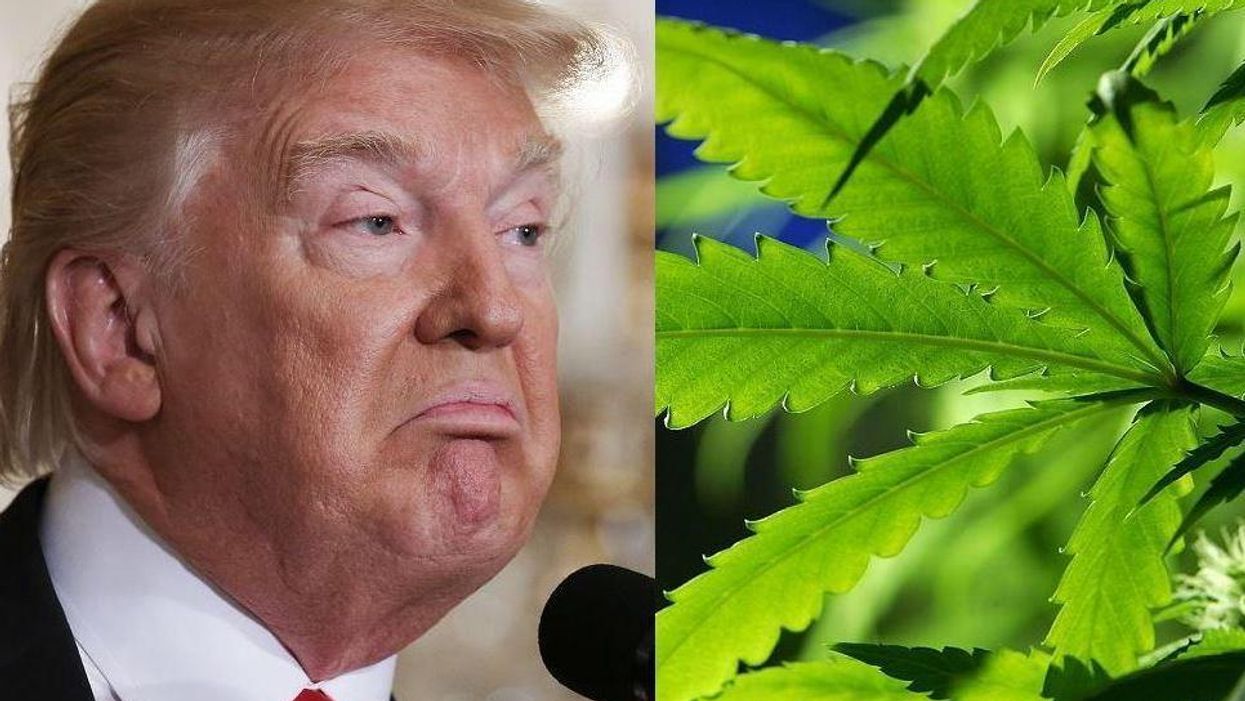 Donald Trump is coming for weed