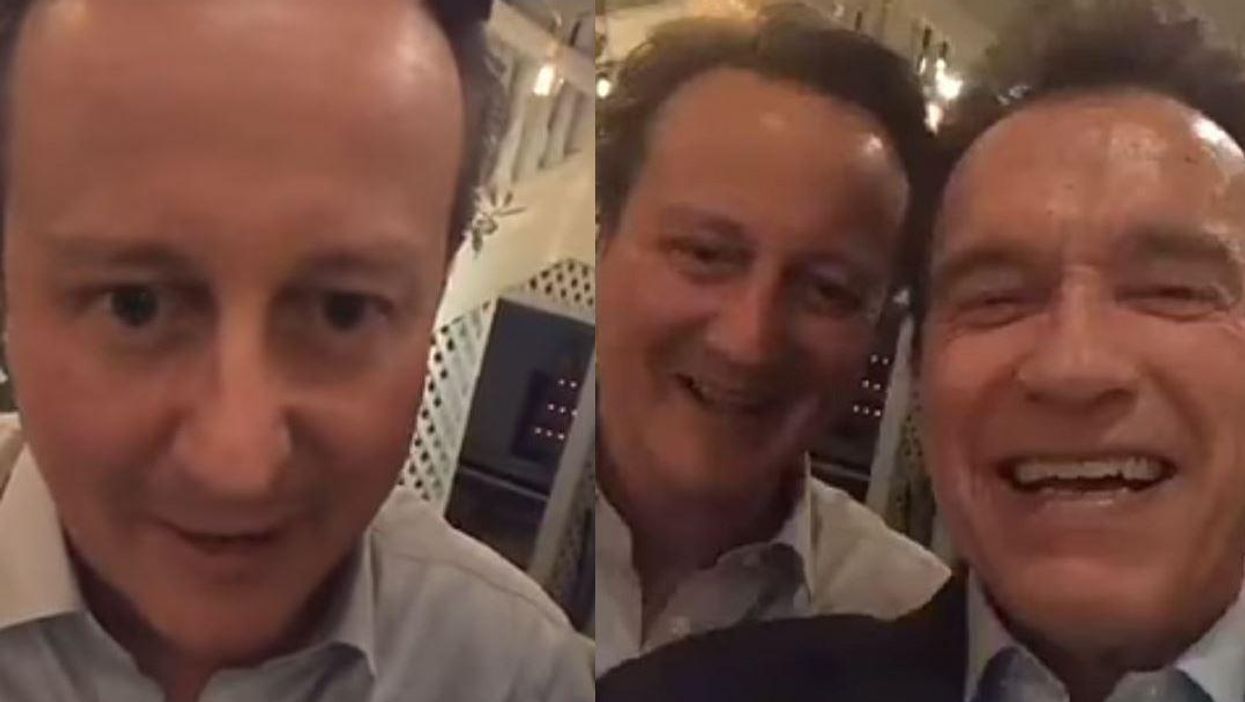 There's one very important line in David Cameron and Arnold Schwarzenegger's video