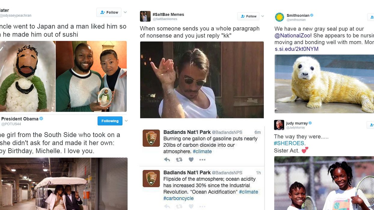 If you're tired of all the terrible news, here are the best things that happened on Twitter in January