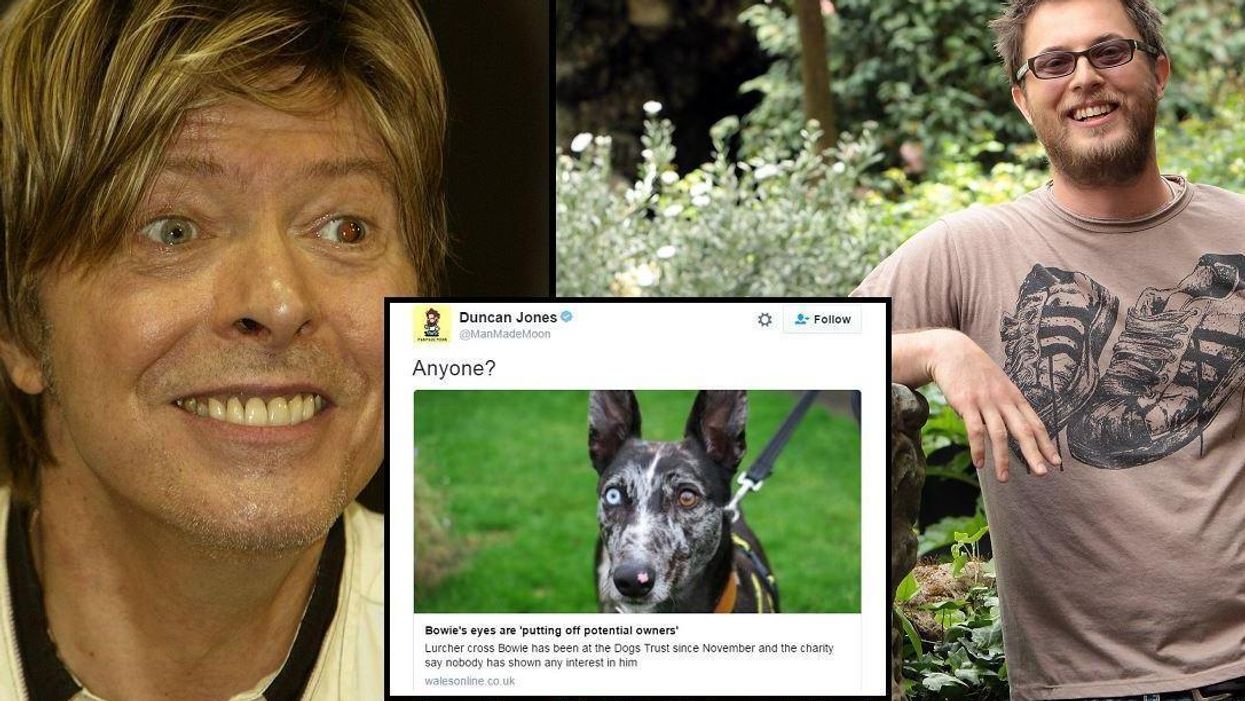 David Bowie's son tried to help a dog with ‘Bowie eyes’ get adopted