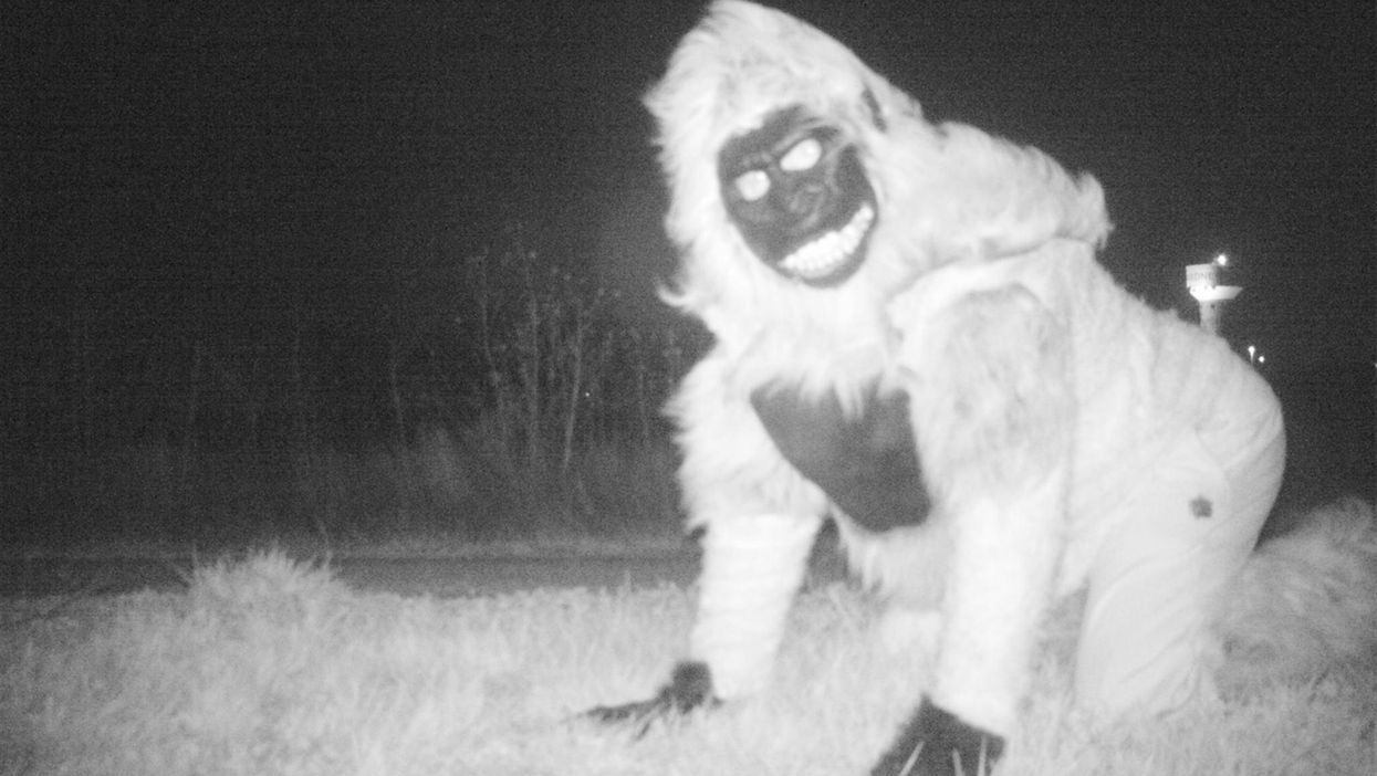 Police set up night cameras to find a mountain lion and discovered something truly bizarre