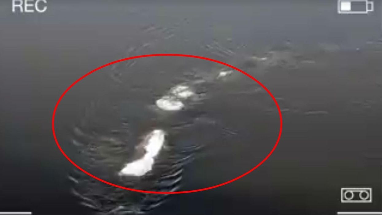 Americans might have just found their own Loch Ness monster