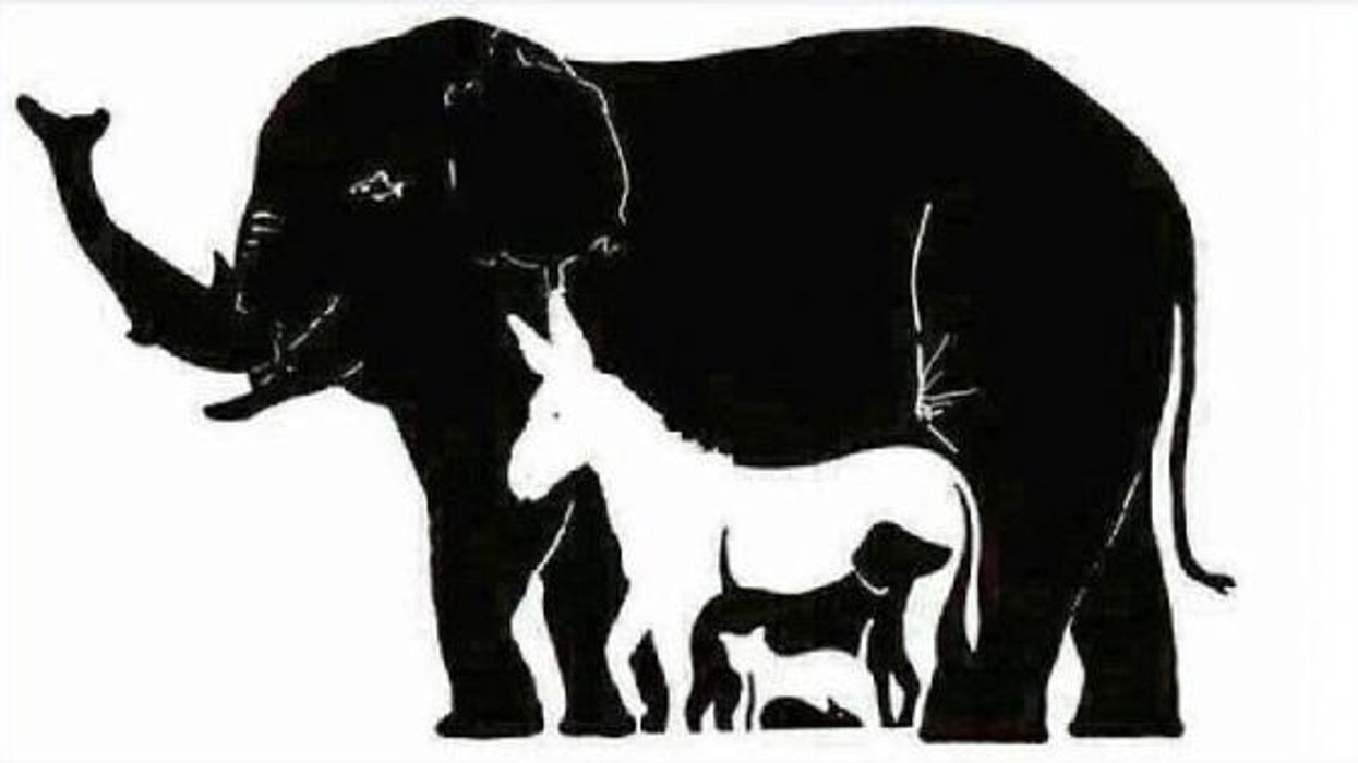 Can you find all the animals in this tricky brainteaser?