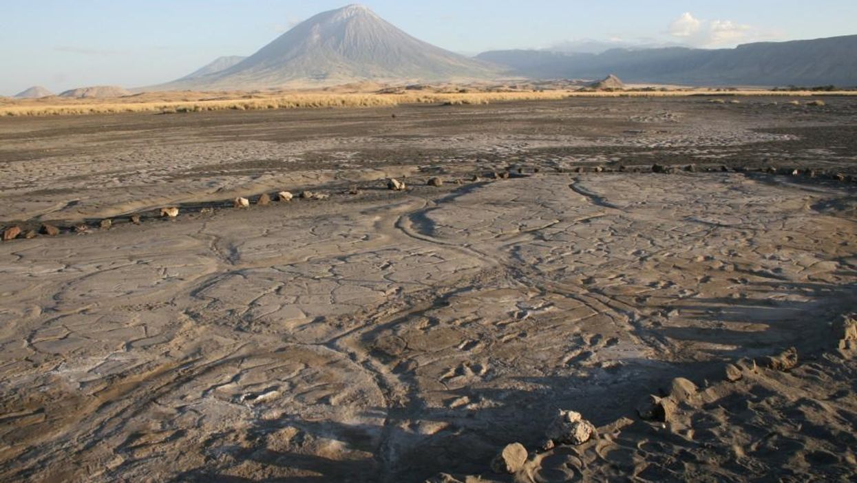 Scientists discover hundreds of footprints left at the dawn of modern humanity