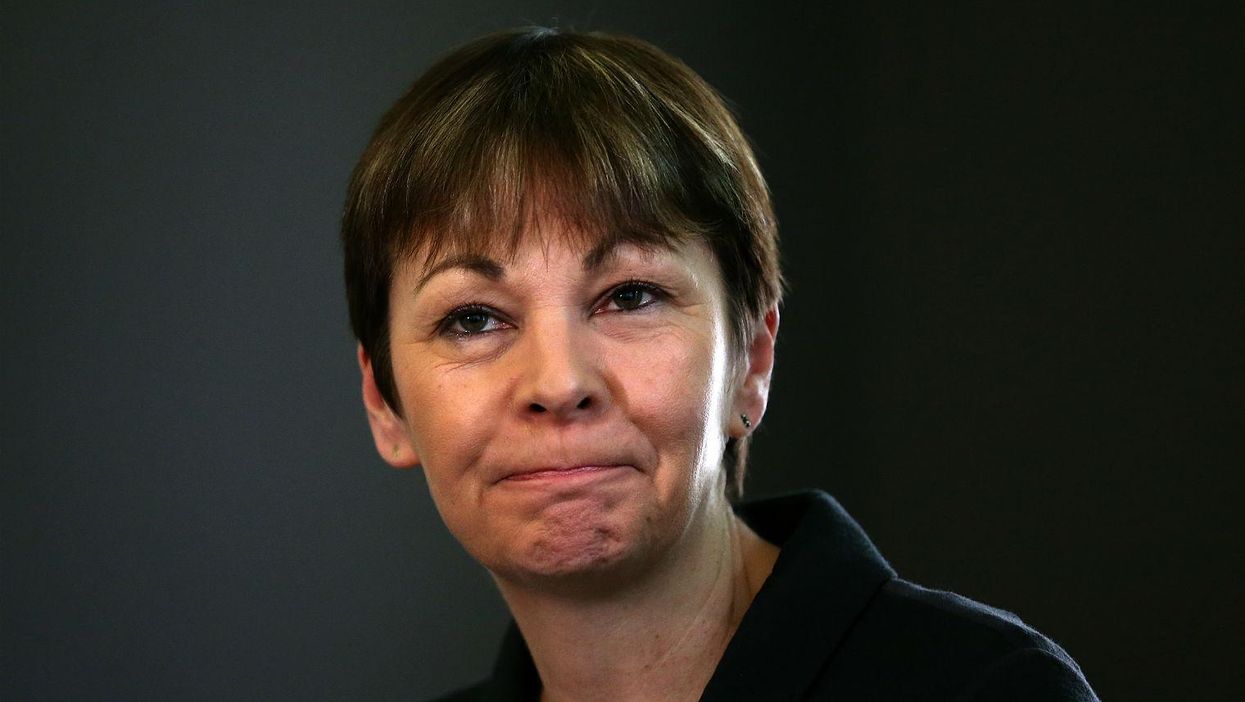 Caroline Lucas is Green Party leader again and people are recycling the same joke