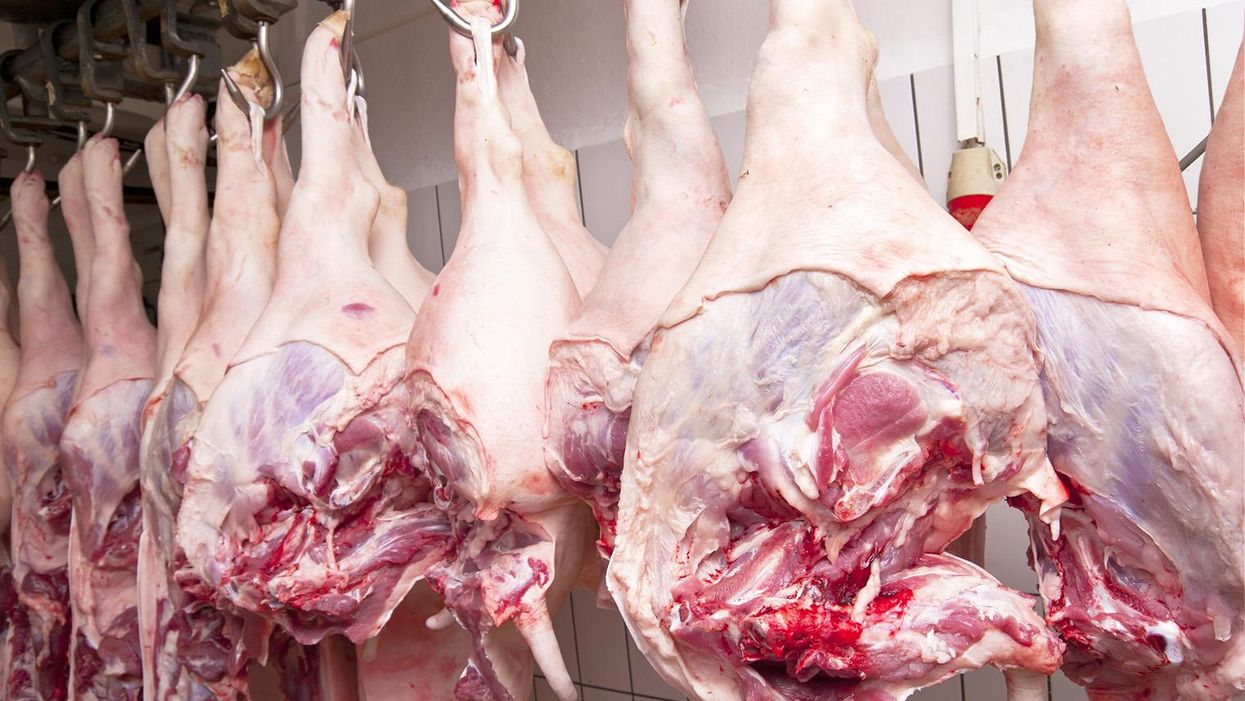 This video about how gelatin is made will probably put you off eating sweets forever