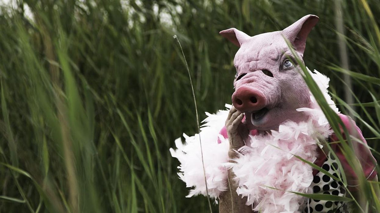 Mysterious Swedish couple dressed as pigs have sex, cause traffic jam, scare Pokemon Go hunters