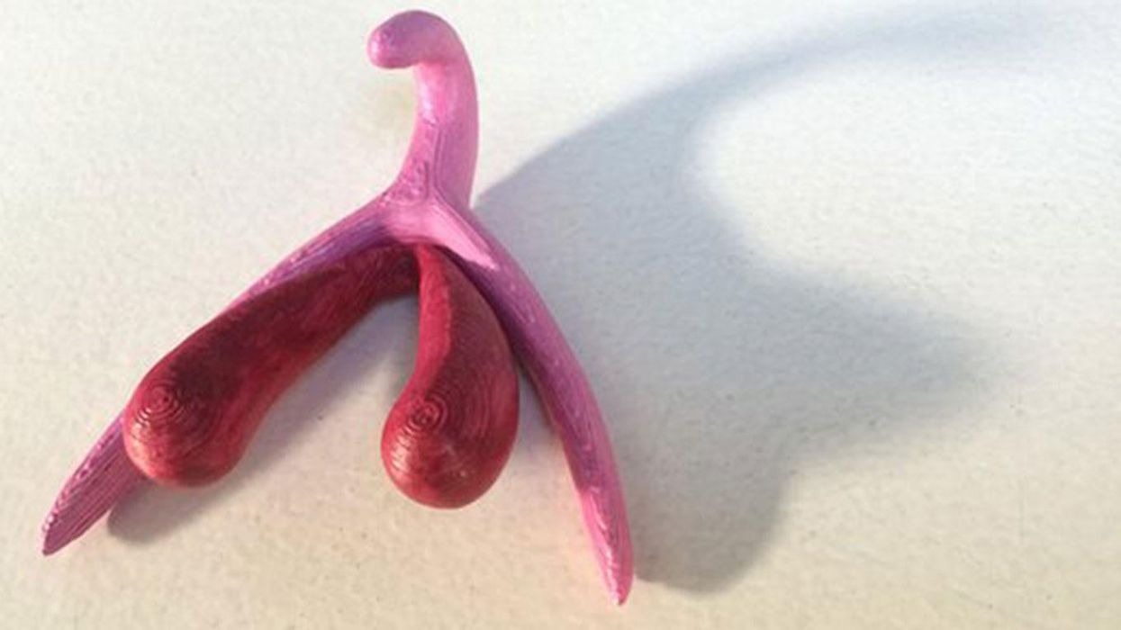A 3D clitoris is going to teach French schoolchildren about sex