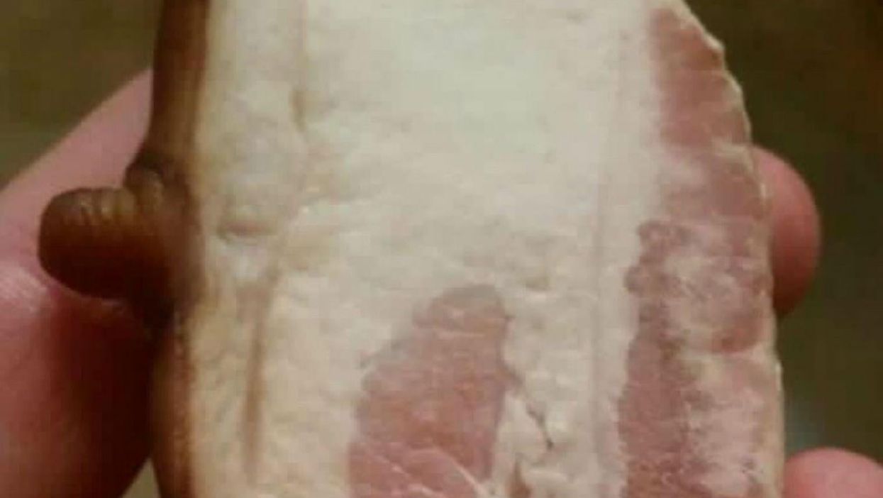 People are absolutely horrified by bacon with a nipple on it