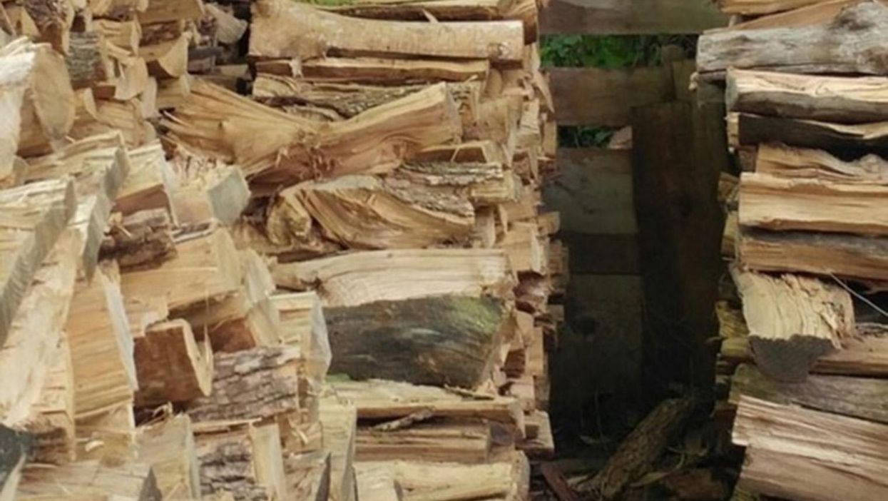 There is a cat hidden among these logs and you almost definitely won't find it, we're sorry