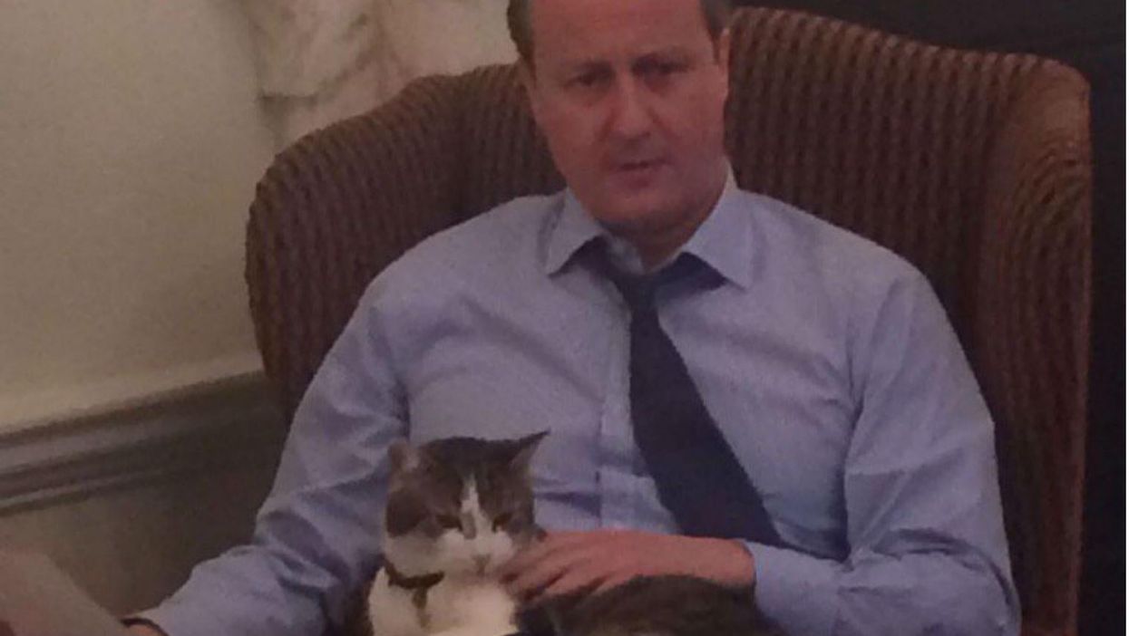 David Cameron's last act as PM was basically an invite for people to troll him over his cat