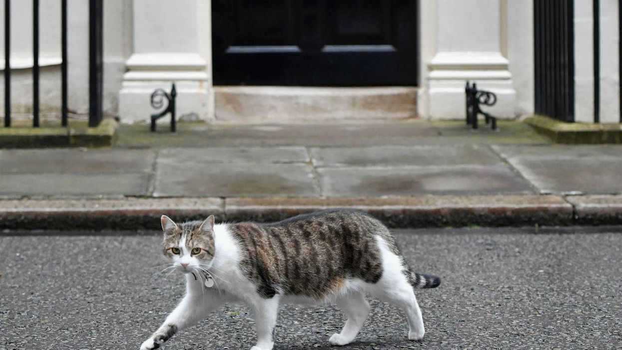 Here's what happens to Larry the cat when Theresa May moves in at Number 10