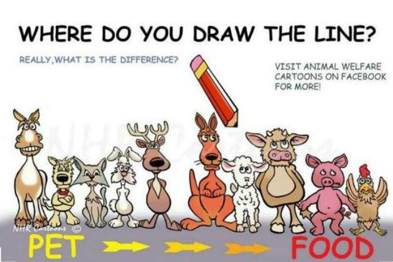 Vegans are using this cartoon to make you think differently about meat |  indy100 | indy100