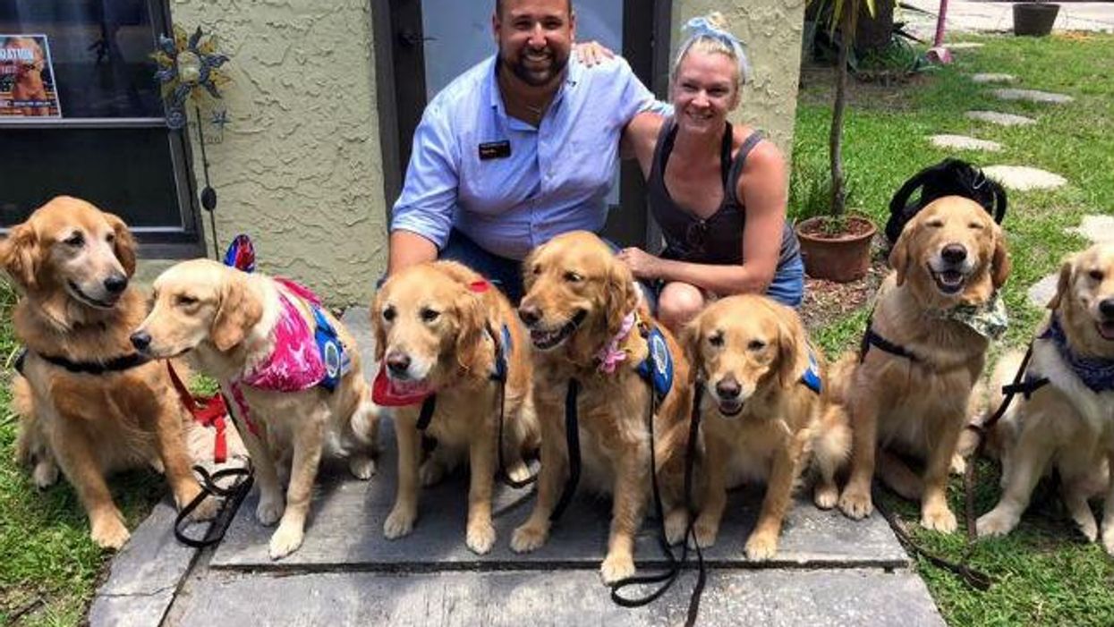A group of specially trained dogs are comforting victims of the Orlando shooting