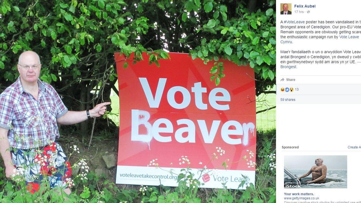 Someone vandalised a Vote Leave poster and one campaigner is not happy about it