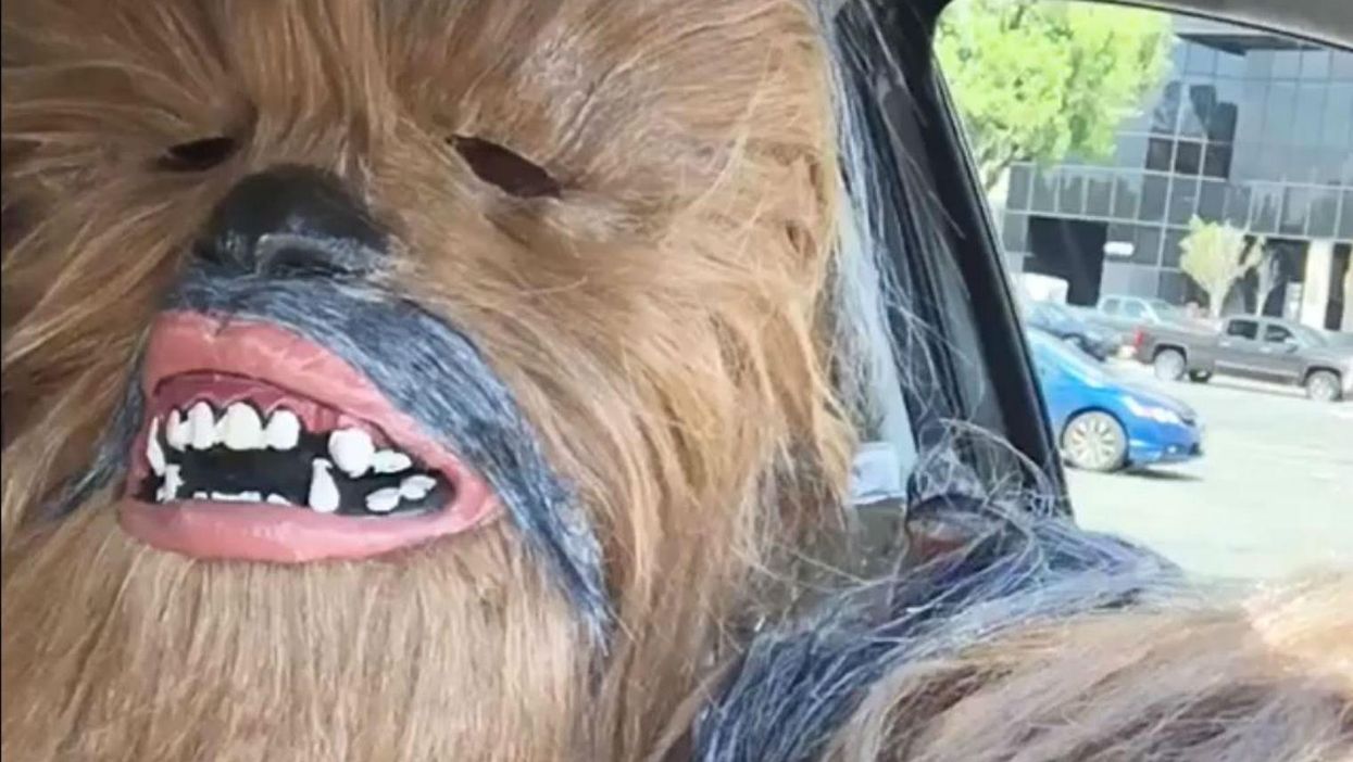 Chewbacca wore a Chewbacca Mom mask and the result is just as brilliant