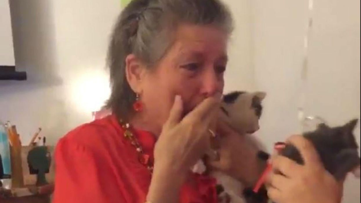 Students surprising their sad teacher with two new kittens will melt your heart