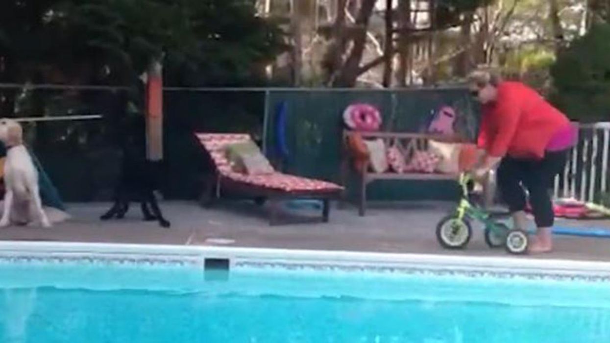 Woman rides tiny bike next to swimming pool - what happens next is entirely predictable