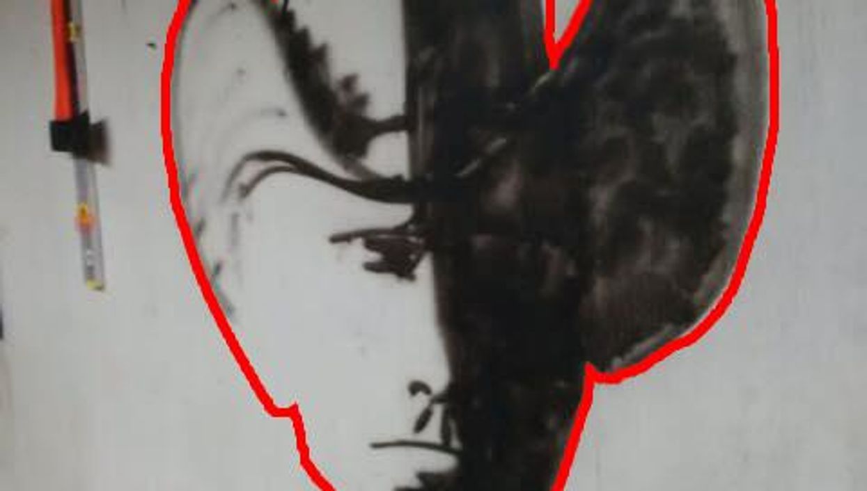 Can you see what's in the silhouette that has the internet in a frenzy?