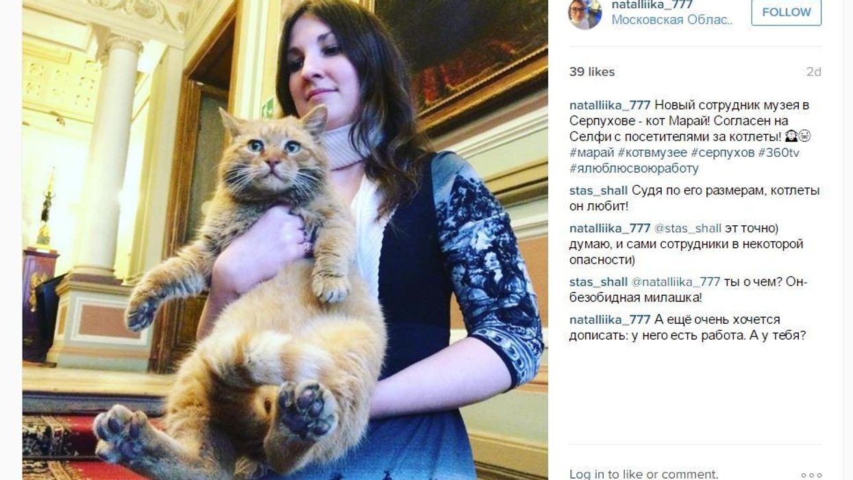 Museum tries to play a trick, accidentally employs a cat