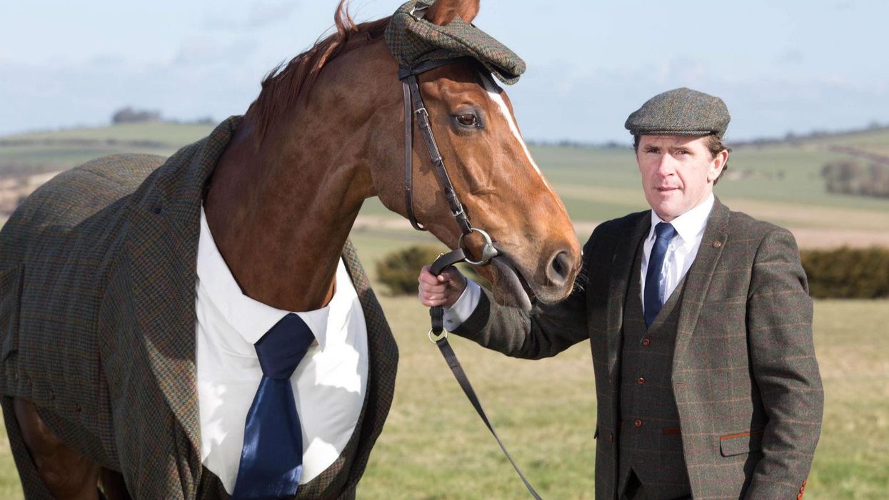 A horse is wearing a suit and we, the people, are demanding answers