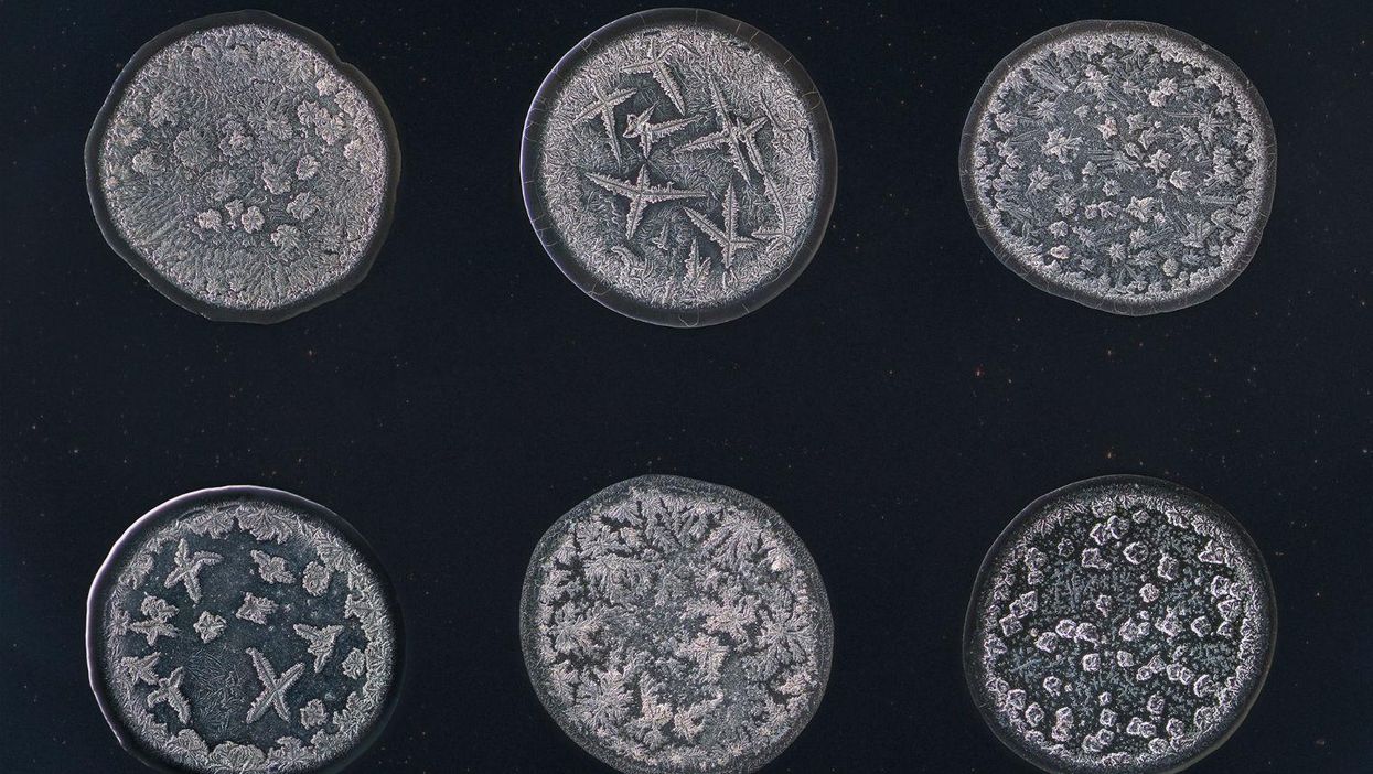 These microscopic photographs reveal the hidden beauty of tears