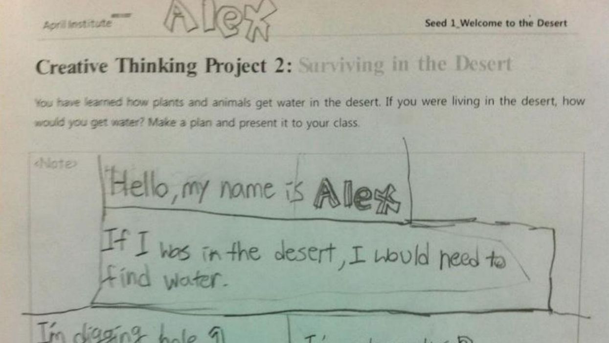 This clearly quite intelligent child made a hilariously NSFW desert survival guide