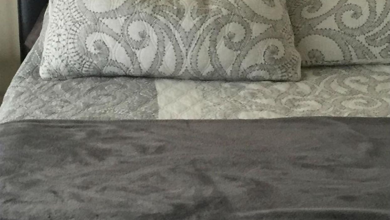 People are (somehow) having a difficult time finding the dog in this picture