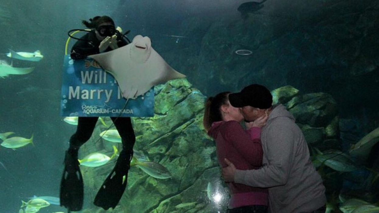 Every picture of this wedding proposal got photobombed by a stingray