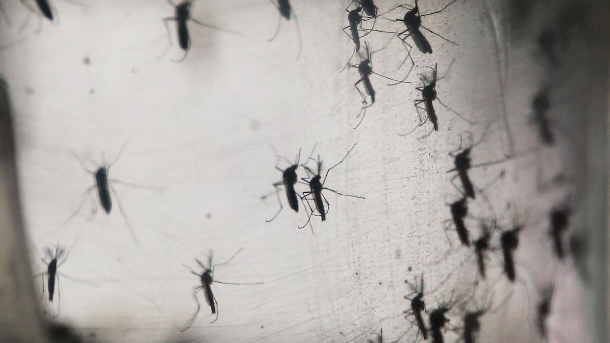 How Zika is different to the West African Ebola crisis