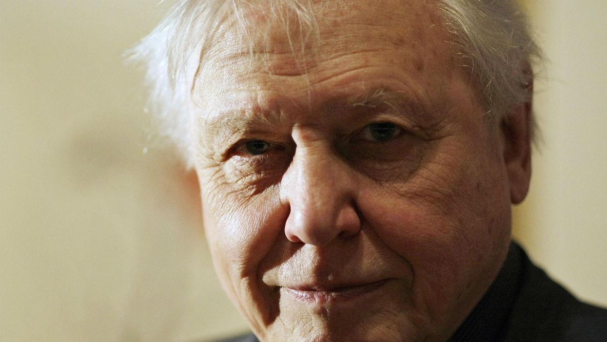 This life-affirming quote from an 89-year-old David Attenborough is wonderful