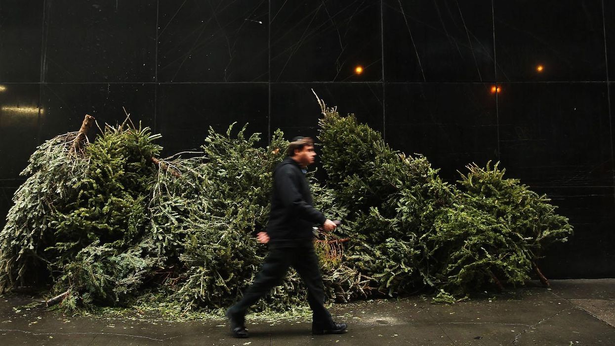 A town in Kent must keep its Christmas tree up until February