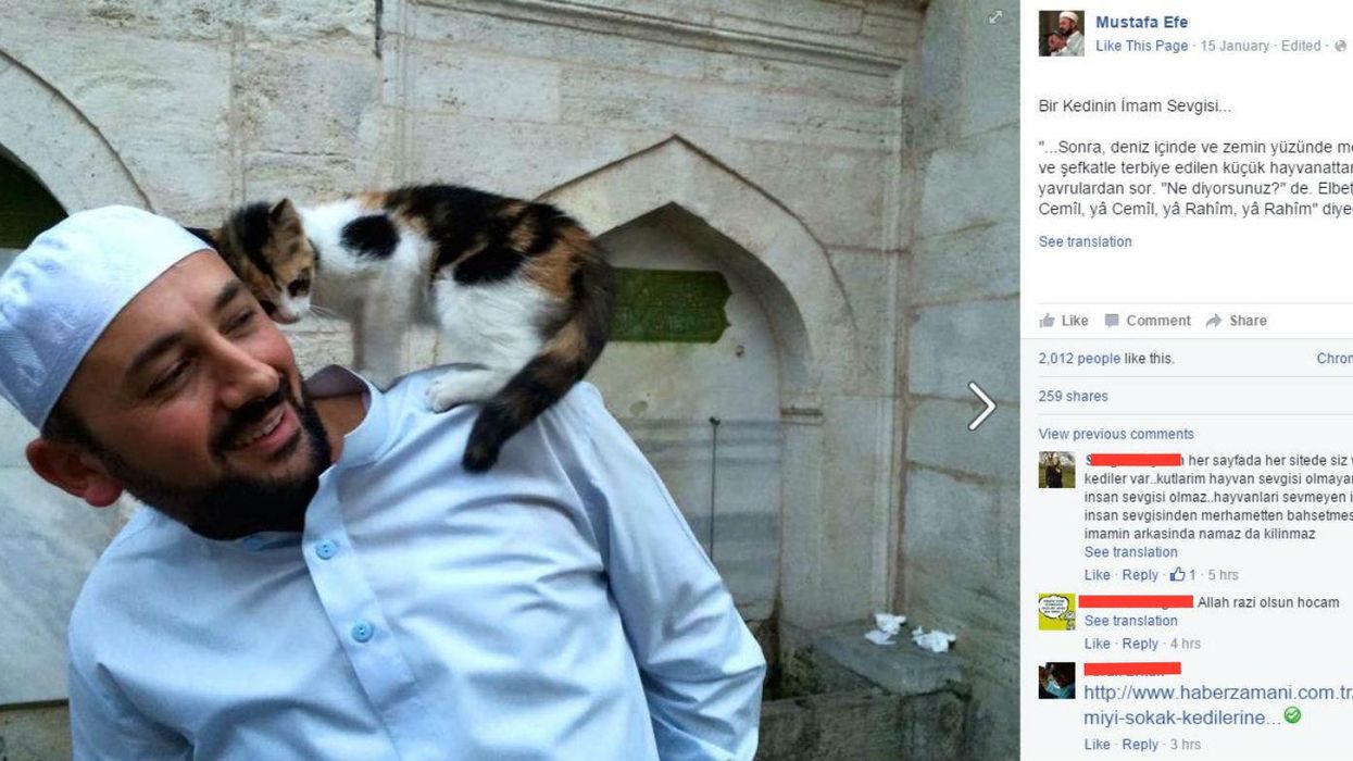 An Imam in Istanbul has opened up his mosque as a warm home to the city's stray cats