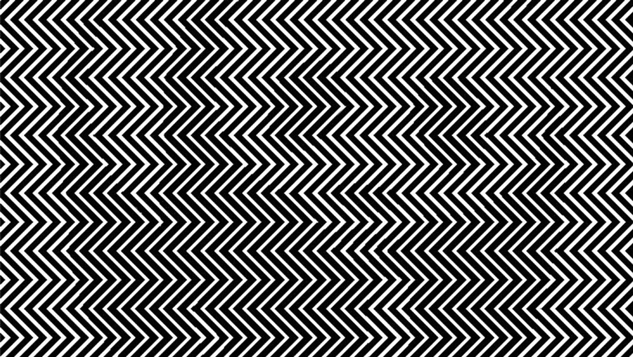 Can you spot what's hidden in this black and white image?