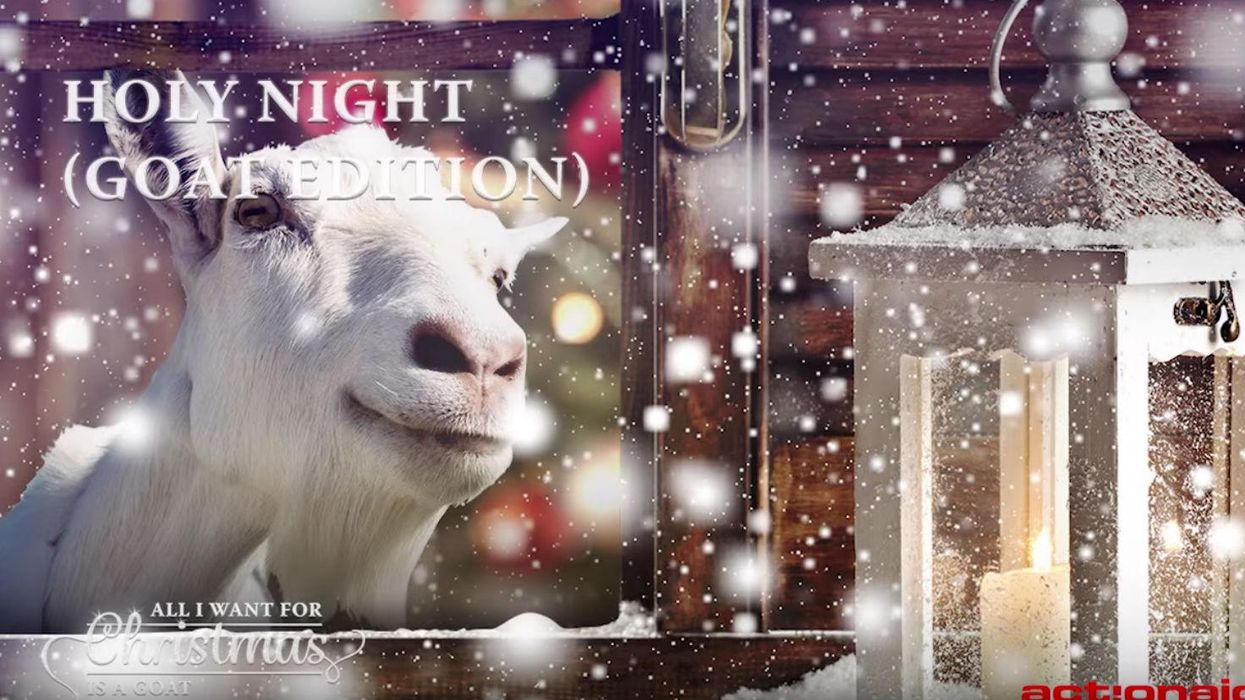 There's a Christmas album sung completely by goats, because of course there is