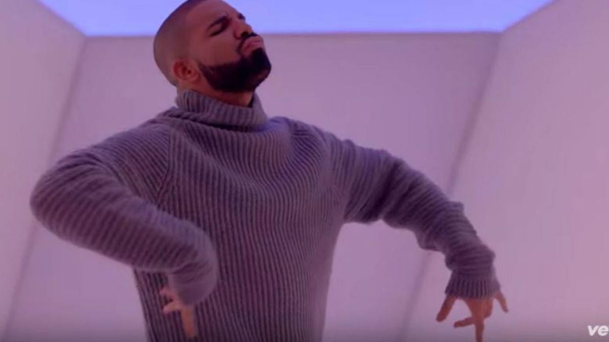 A cat just won the Hotline Bling meme competition