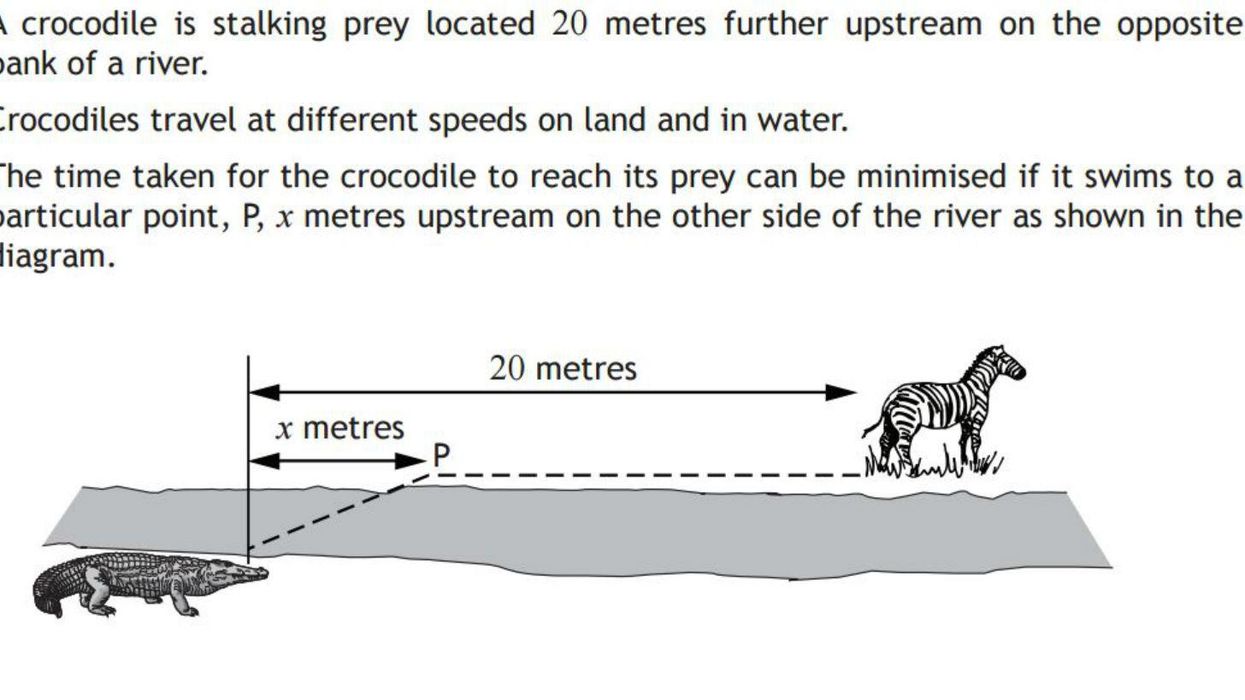 This crocodile maths problem had Scottish schoolchildren in tears - can you solve it?