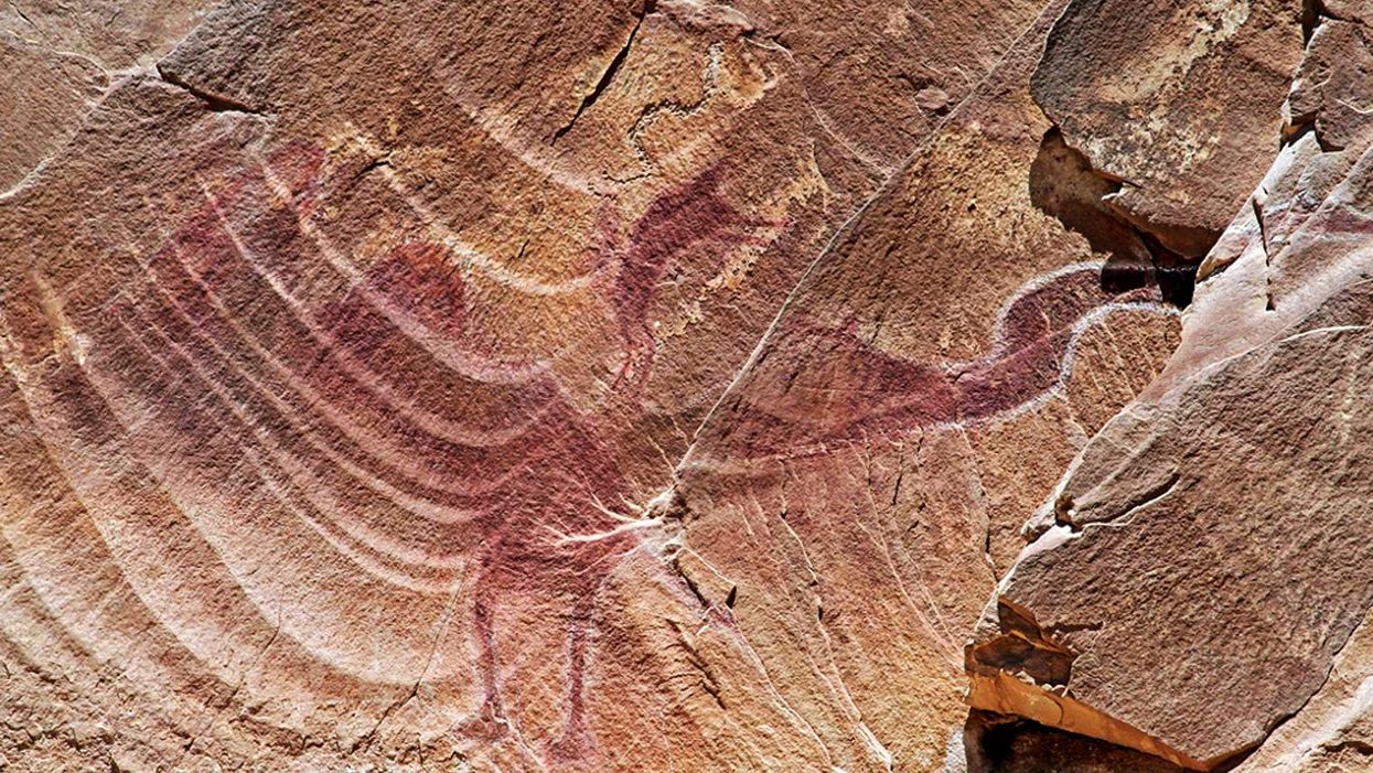 Creationists thought this was a cave painting of a dinosaur. It isn't