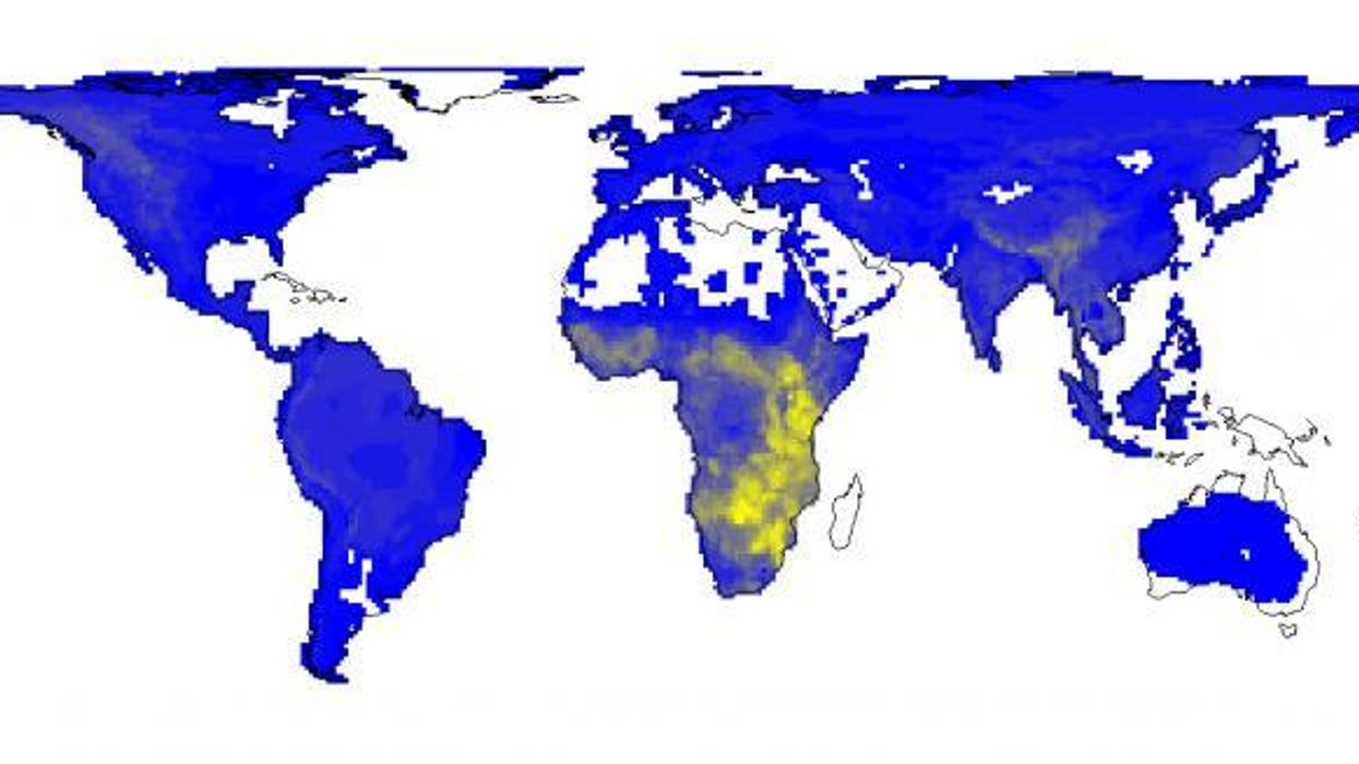 What the world would look like if humans had never existed